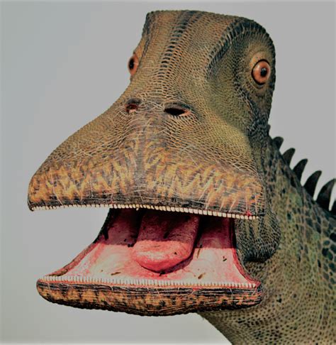 500 Teeth Dinosaur | What Dinosaur Has 500 Teeth | Itsreadtime