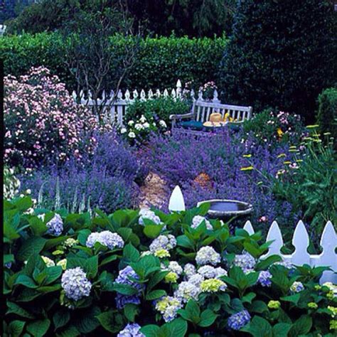 Landscaping With Hydrangeas And Roses | Home Design Ideas