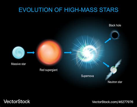 Evolution of high-mass stars Royalty Free Vector Image