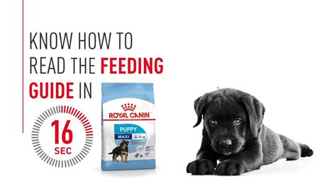 Royal Canin Maxi Puppy Feeding Guide | puppy, food | Need help understanding the Royal Canin ...