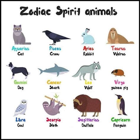 Pin by Tina Bennett on horoscope | Zodiac signs animals, Zodiac, Dog zodiac