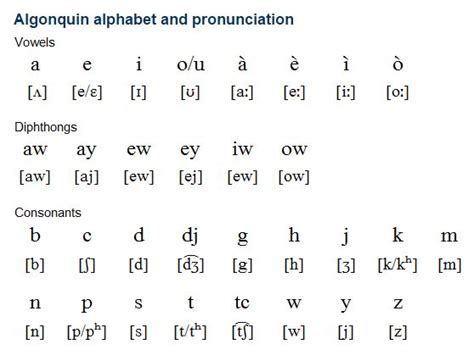 Algonquin (Anicinâbemowin): Algonquin is an Algonquian language spoken ...