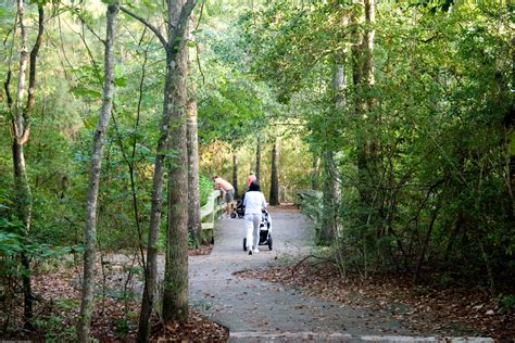 The Woodlands Texas Parks: Marsh Experience in The Woodlands Texas