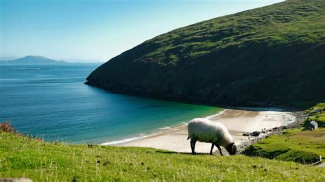 Achill Island: Willkommen auf Irlands größter Insel