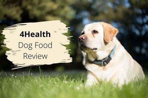 4Health Dog Food Review – Mr Dog Food