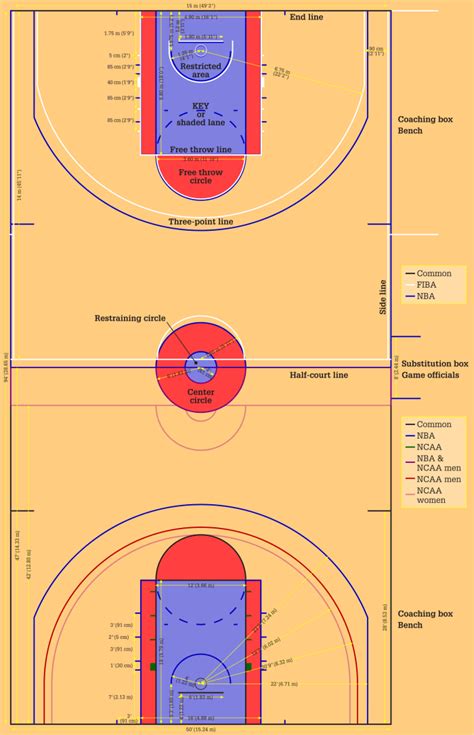 Basketball Rules for Beginners: Common Offensive Violations - HowTheyPlay