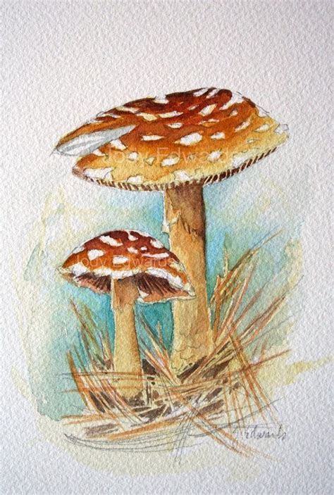 beautiful | Mushroom paint, Original watercolor painting, Watercolor paintings