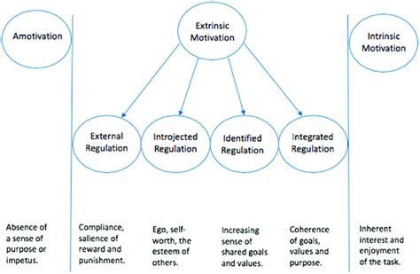 The Self Determination Theory framework (adapted from Ryan and Deci,... | Download Scientific ...