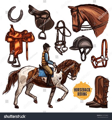 Horse Riding Equestrian Sport Equipment Set Stock Vector (Royalty Free ...