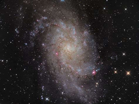 Triangulum Galaxy | Galaxy images, Triangulum galaxy, Andromeda galaxy