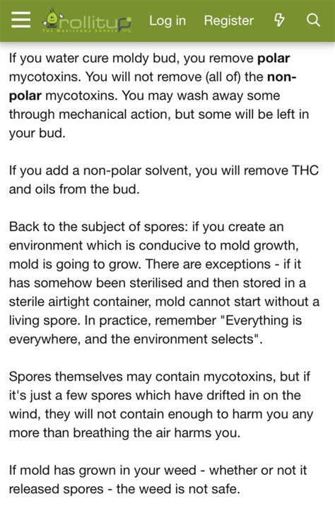 Moldy Weed 101: Can It Be Fixed & How Risky Is Smoking It? | HerbMedix