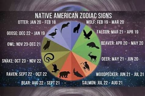 Pin by Carolina Rosa on Miraculous Ladybug | Native american zodiac ...