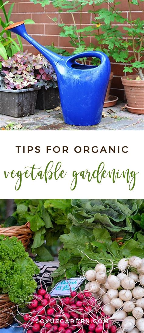 The Benefits of Organic Vegetable Gardening