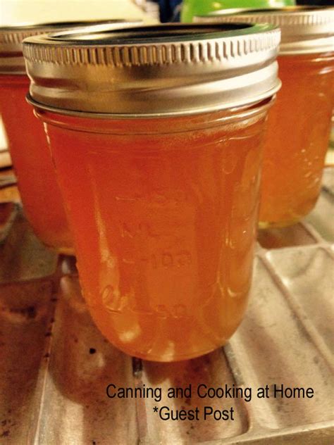 {Orange} Watermelon Jelly - CANNING AND COOKING AT HOME