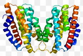 Heme Oxygenase Images, Heme Oxygenase Transparent PNG, Free download