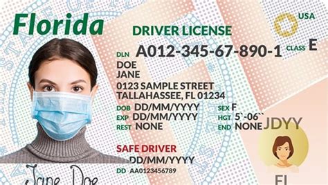 State Drivers Licenses | Drivers License By State | USA Driving Licenses