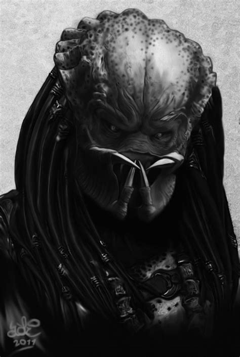 1000+ images about Alien vs Predator on Pinterest | Xenomorph, Aliens ...