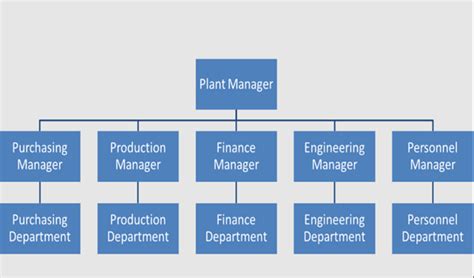 Typical Finance Department Structure