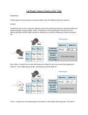 Lab Report Mouse Genetics One Trait .docx - Lab Report: Mouse Genetics One Trait Hypothesis: If ...