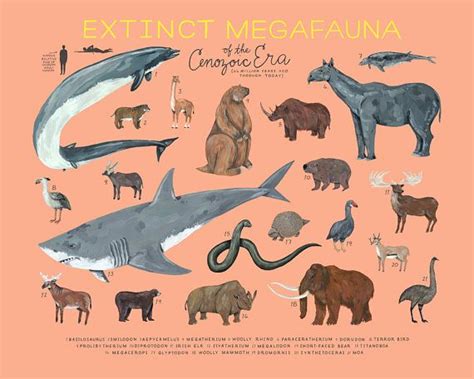 Kelsey Oseid | Megafauna, Prehistoric animals, Extinct animals