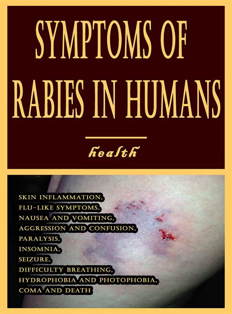 Symptoms of Rabies in Humans: Skin Inflammation, Flu-like Symptoms, Nausea and Vomiting ...