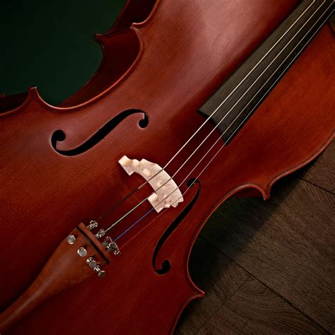 Cello vs. Double Bass – What’s the Difference? | Gear4music