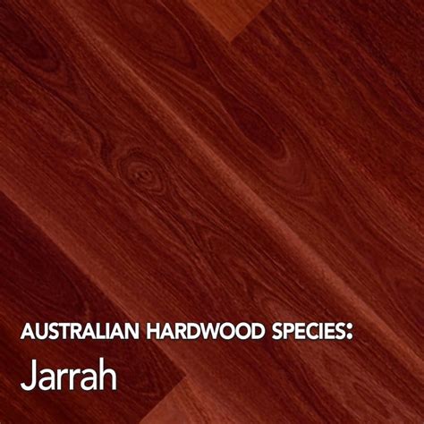 Jarrah Solid Hardwood Flooring 80mm x 19mm - Mr Timber Flooring