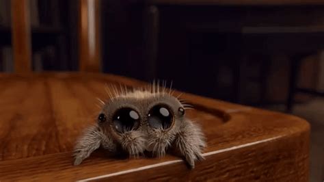 Adorable Animated Spider Will Make Even Arachnophobes Smile