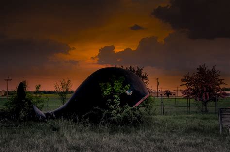 Eerie Images Of America's Abandoned Amusement Parks Will Haunt You | Gizmodo Australia