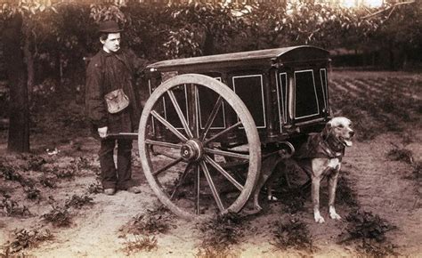 Vintage Photos of Dogs Pulling Carts | sweet juniper inspiration