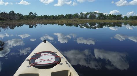 Babcock Ranch Preserve Tours - Book Now | Expedia