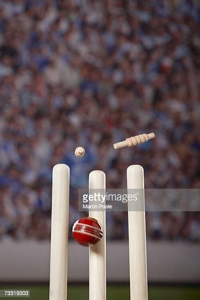 Cricket Audience Photos and Premium High Res Pictures - Getty Images