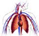 heparin dosing calculator - nomogram