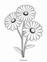Free Printable Gerbera Coloring Page · InkPx sketch template