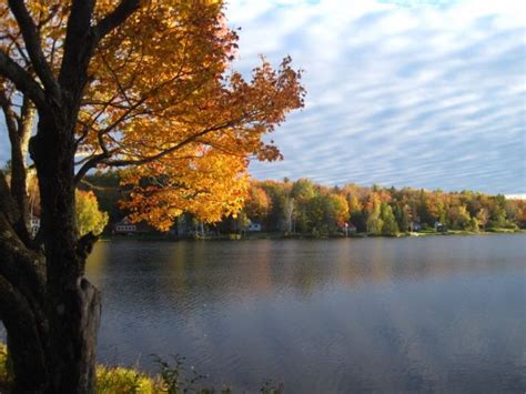 Camping The Forks, Maine at Scenic Lakes, Rivers, Remote Wilderness