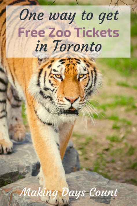 How to get Free tickets to the Toronto Zoo - Making Days Count