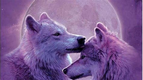 Purple Wolf Wallpapers - Top Free Purple Wolf Backgrounds - WallpaperAccess