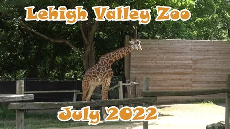 Lehigh Valley Zoo July 2022 - YouTube