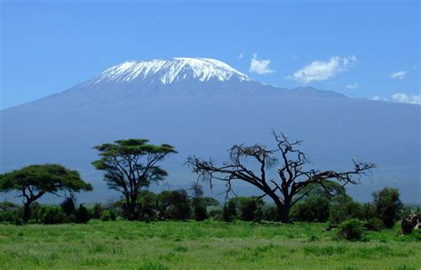 Mount Kilimanjaro landscape rising behind the trees image - Free stock photo - Public Domain ...