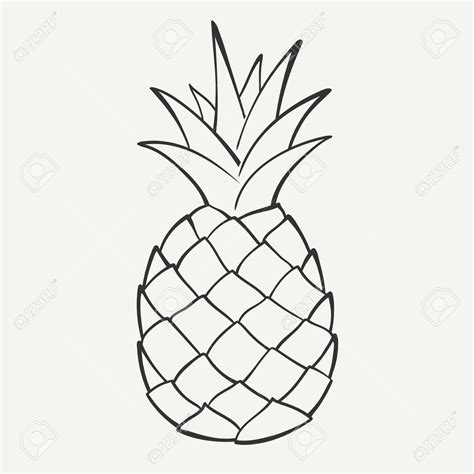 pineapple black and white clipart - Google Search | Pineapple drawing ...