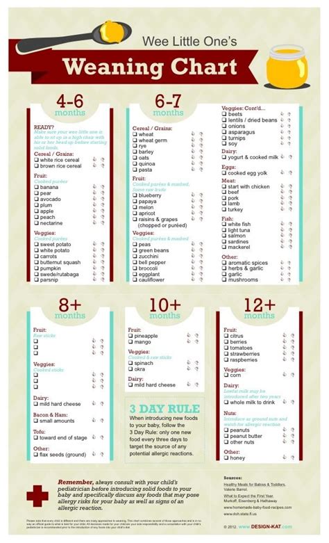 Age guide to introducing solids | Babies, Food and Stuffing