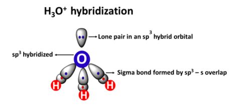 H3O+ lewis structure, molecular geometry, bond angle, hybridization