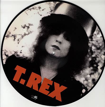 T. Rex - The Slider (2003, Vinyl) | Discogs