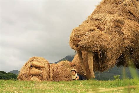 Japanese Artists Continue The Tradition Of Rice Harvest Season By Creating Gigantic Straw ...