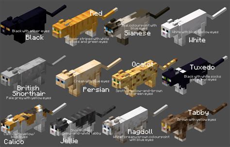 Names and colours for all the cats! What should I do next? : Minecraft