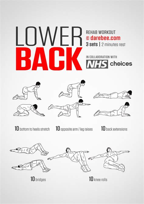 Calisthenics Workout For Lower Back | EOUA Blog