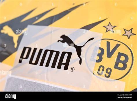 Cercle Contre la volonté leau fake puma logo Campus la grotte Microbe