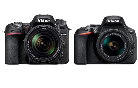 Nikon D7500 vs D5600 - Comparison - Daily Camera News