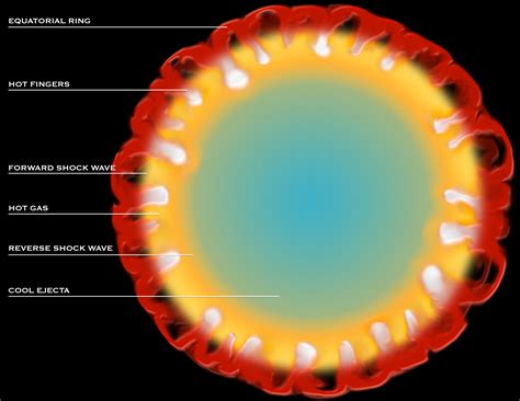 Chandra :: Resources :: Supernovas and Remnants (Illustrations)