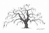 spanish moss tree Tattoo  Isidra Pak sketch template